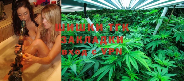 ГАЛЛЮЦИНОГЕННЫЕ ГРИБЫ Зеленодольск