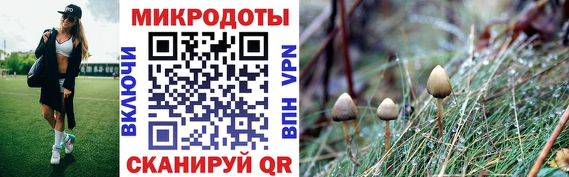 Купить  Киреевск  Галлюциногенные грибы ЛСД 